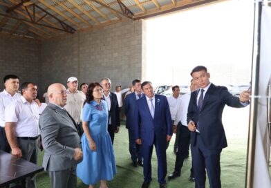 Сауран ауданы мал шаруашылығын дамыту арқылы өңірдің әлеуетін арттыруда