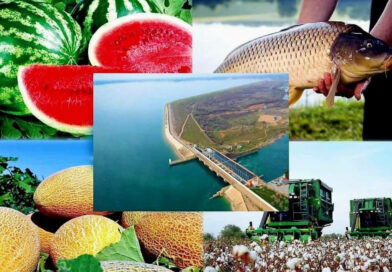 Шардара – өзінің су қоймасы және ауыл шаруашылығындағы табыстарымен танымал