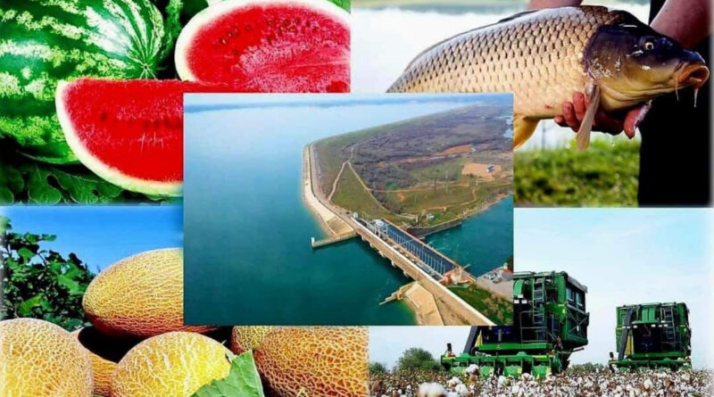 Шардара – өзінің су қоймасы және ауыл шаруашылығындағы табыстарымен танымал