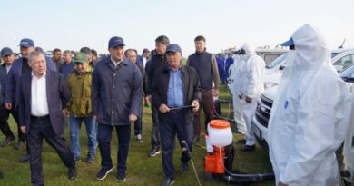 Түркістан облысында шегірткеге қарсы күрес науқаны күшейтілді